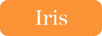 Iris Bikini - Home